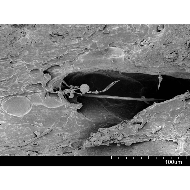 Lay-Filaments GROWLAY Filament