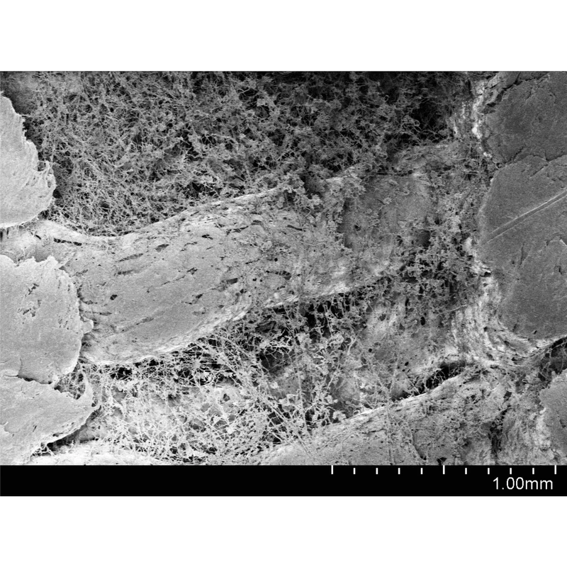 Lay-Filaments GROWLAY Filament