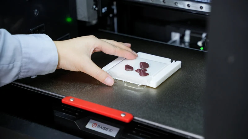 Raise3D E3 3D-Drucker mit IDEX-Extruder
