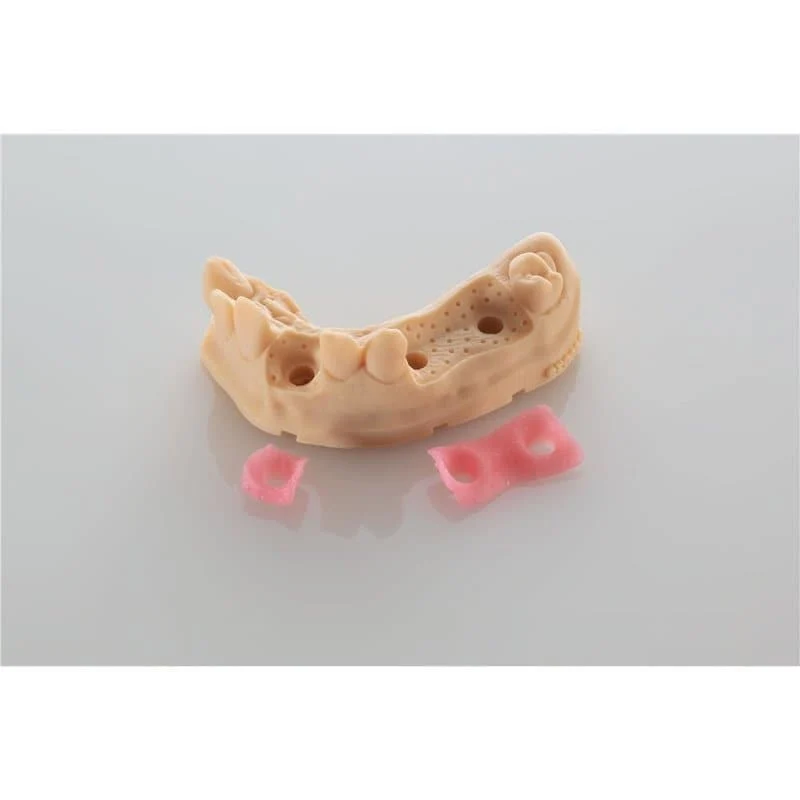 BASF Ultracur3D DM2304 Gingiva Mask Dental Resin