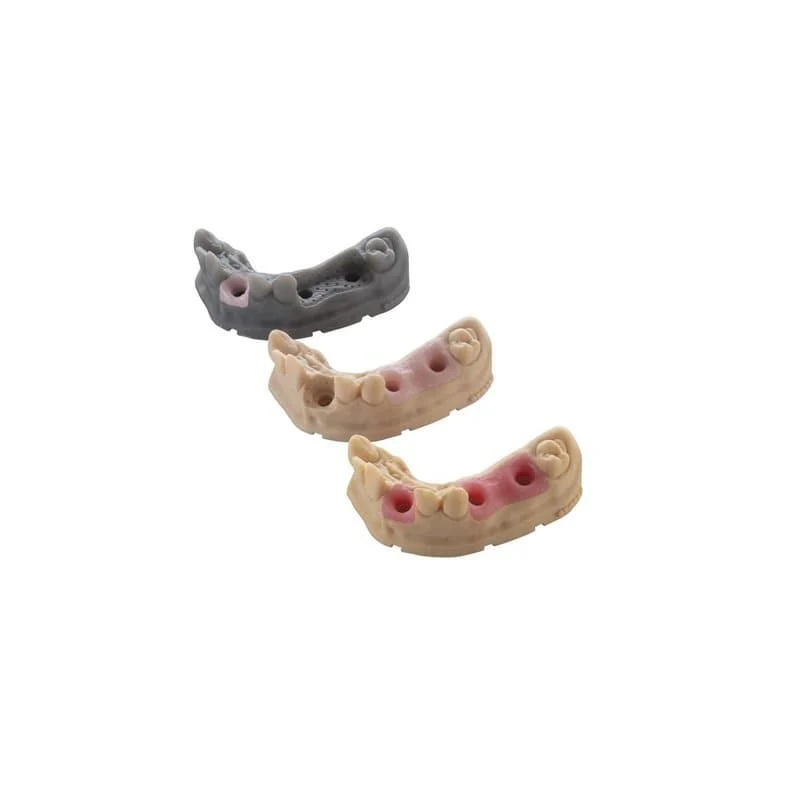 BASF Ultracur3D DM2304 Gingiva Mask Dental Resin