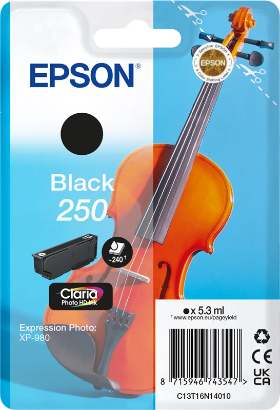 Epson 250 Schwarz Druckerpatrone C13T16N14010