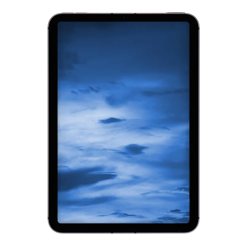 Apple iPad mini (2021) 6. Generation WiFi + 5G 64GB Space Grau
