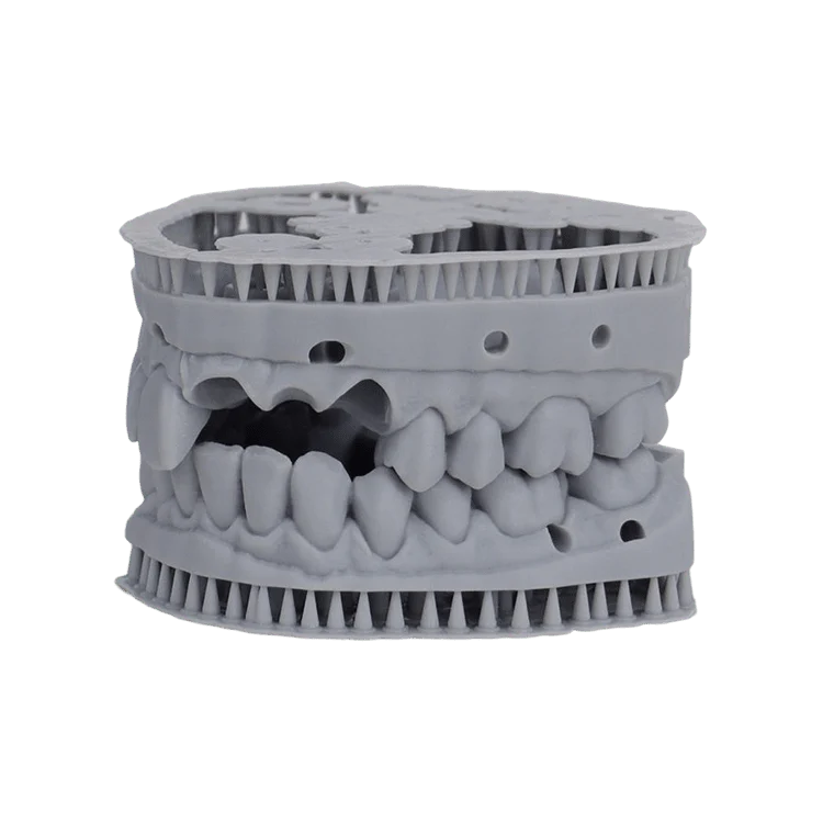 Liqcreate Dental Model Pro Grey