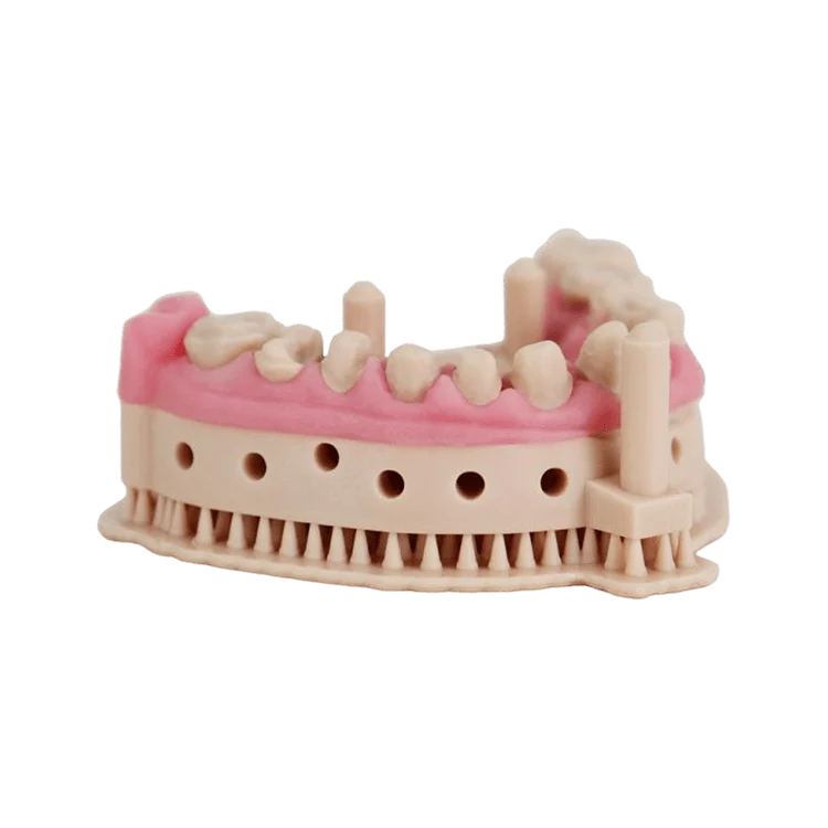 Liqcreate Dental Model Pro Beige