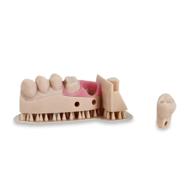 Liqcreate Dental Model Pro Beige