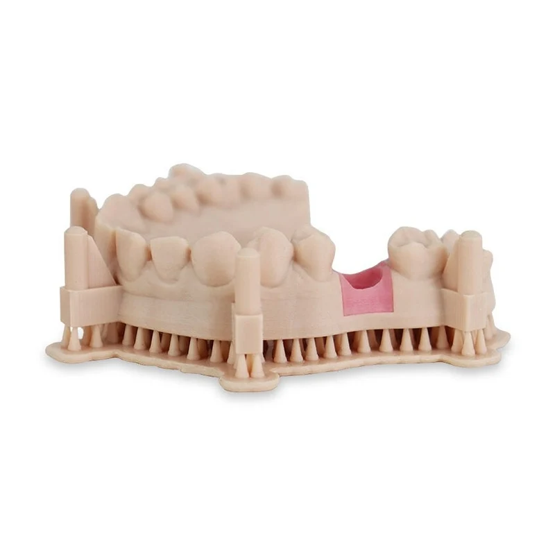 Liqcreate Dental Model Pro Beige