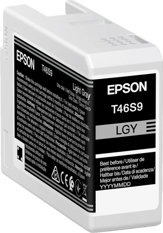 Epson T46S9 Hellgrau Druckerpatrone C13T46S900