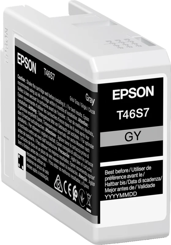Epson T46S7 Grau Druckerpatrone C13T46S700