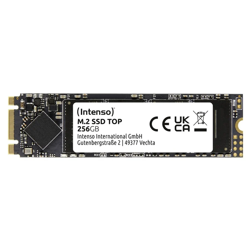 Intenso Top M.2 256 GB Serial ATA III