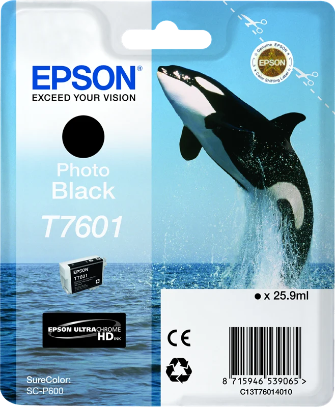 Epson T7601 Photo Black Druckerpatrone C13T76014010