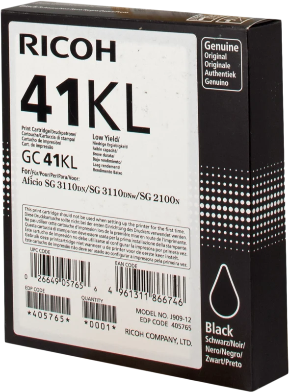 Ricoh Gel Patrone GC41BKL Schwarz