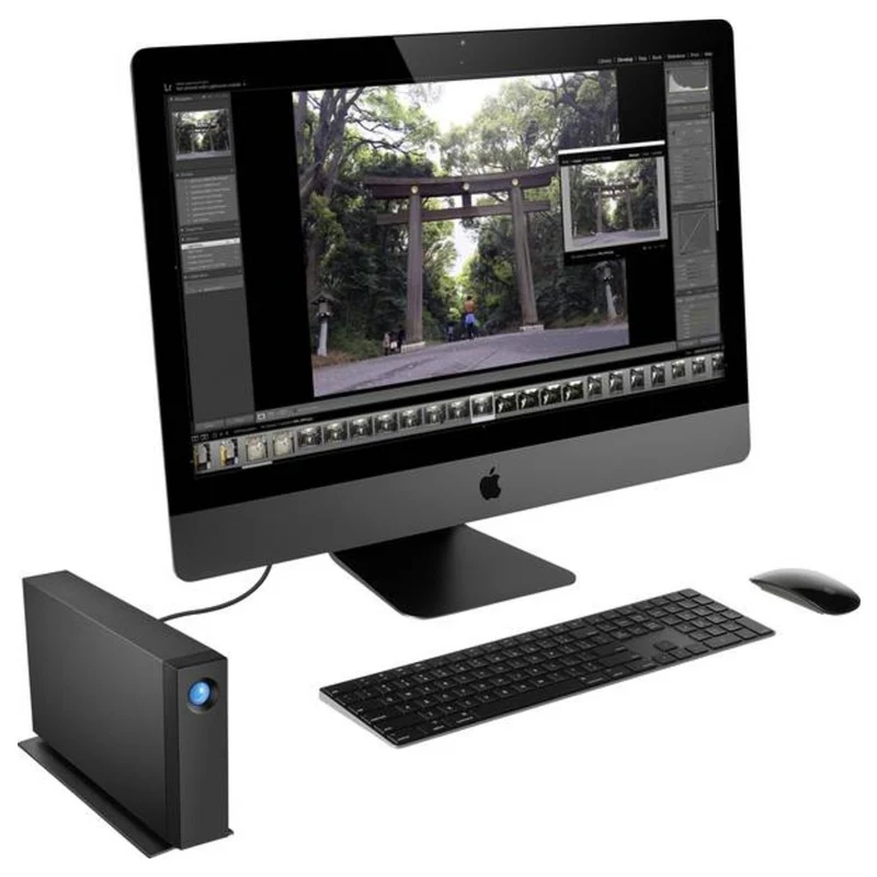 LACIE d2 8 TB USB-C 3,5-Zoll-Desktop-Festplatte